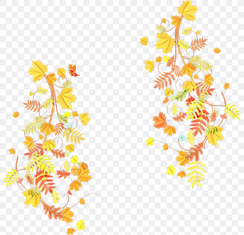 Yellow Plant Pedicel Clip Art Flower, PNG, 800x789px, Cartoon, Flower, Pedicel, Plant, Yellow Download Free