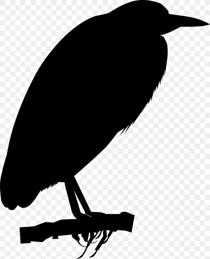 American Crow New Caledonian Crow Rook Common Raven, PNG, 2000x2465px, American Crow, Beak, Bird, Blackbird, Common Raven Download Free