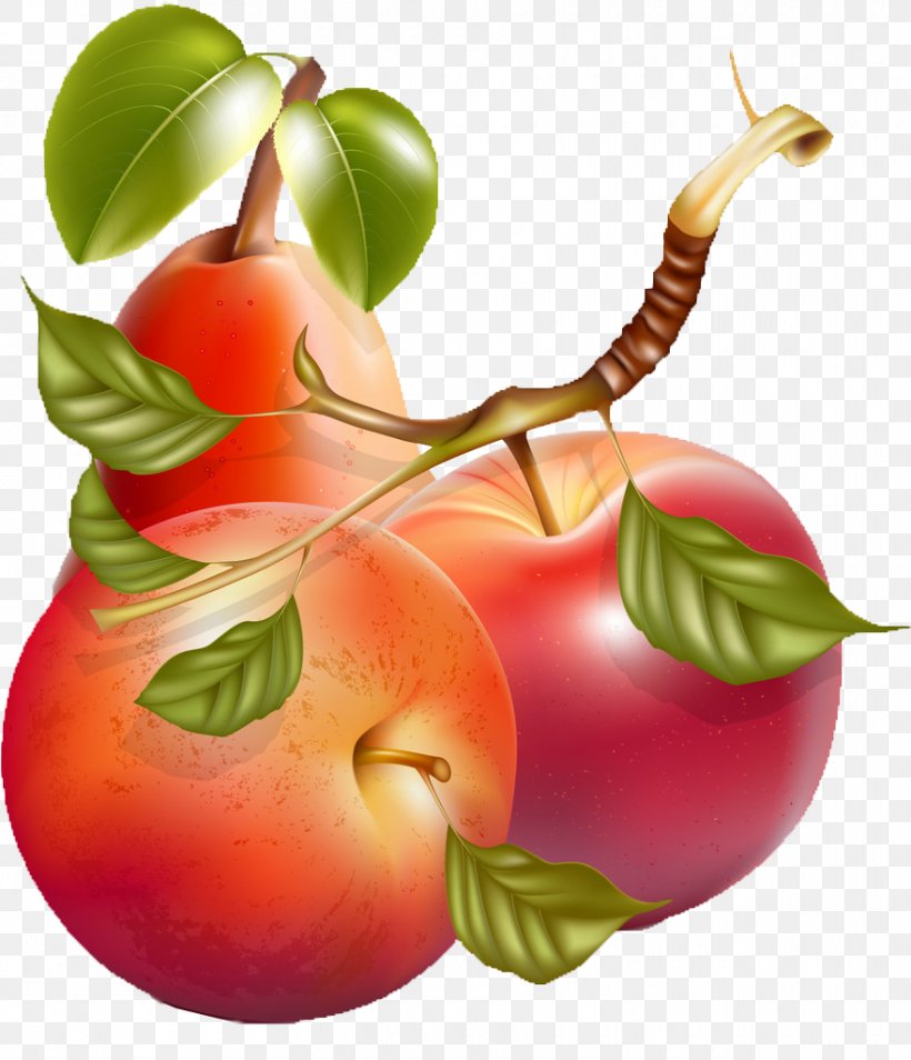 Apple Pear Illustration, PNG, 880x1024px, Apple, Art, Banana, Decoupage, Diet Food Download Free