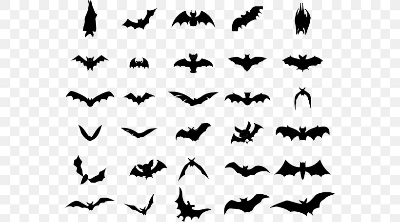 Bat Logo Clip Art, PNG, 555x456px, 31 October, Bat, Animal, Animal Migration, Beak Download Free
