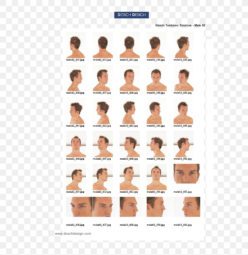 Homo Sapiens Font, PNG, 595x842px, Homo Sapiens, Arm, Human, Joint, Muscle Download Free