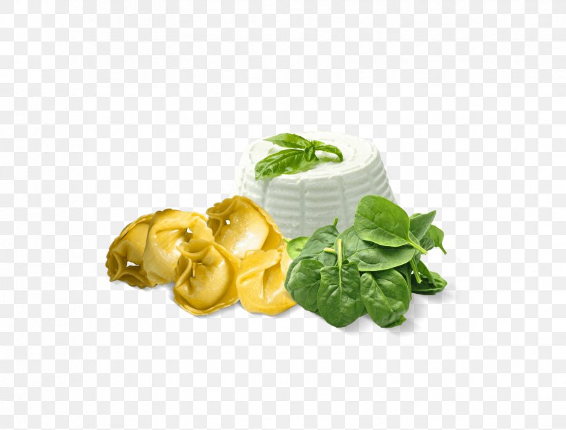 Tea Leaf, PNG, 1658x1258px, Pasta, Basil, Cuisine, Dairy Products, Dish Download Free