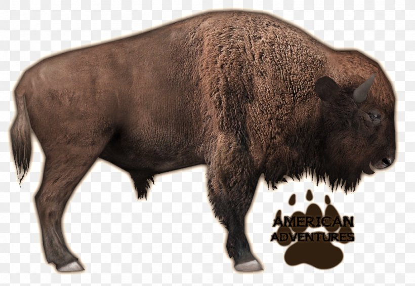 Zoo Tycoon 2 Bison Bonasus Cattle Cuisine Of The United States, PNG, 1023x705px, Zoo Tycoon, American Bison, Animal, Bison, Bison Bonasus Download Free
