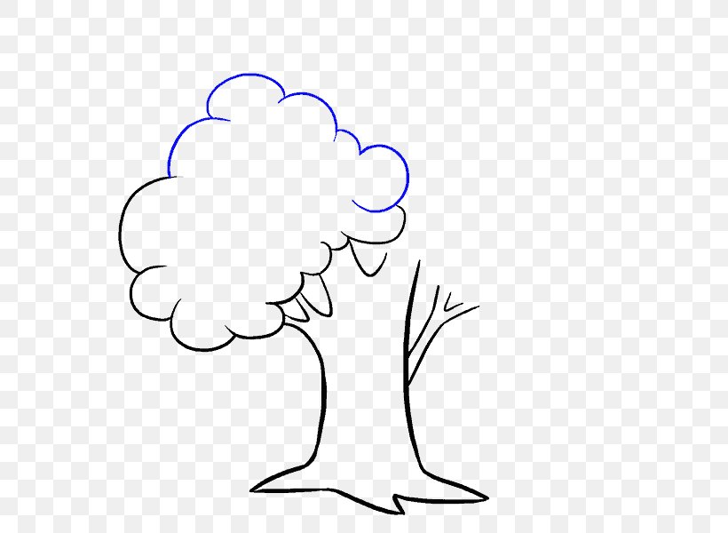 Drawing Cartoon How To Draw Trees Clip Art, PNG, 678x600px, Drawing, Area, Art, Artwork, Beak Download Free