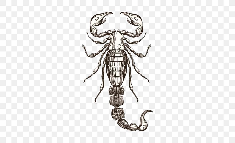 Scorpion Drawing Illustration, PNG, 500x500px, Scorpion, Drawing, Invertebrate, Membrane Winged Insect, Ornament Download Free