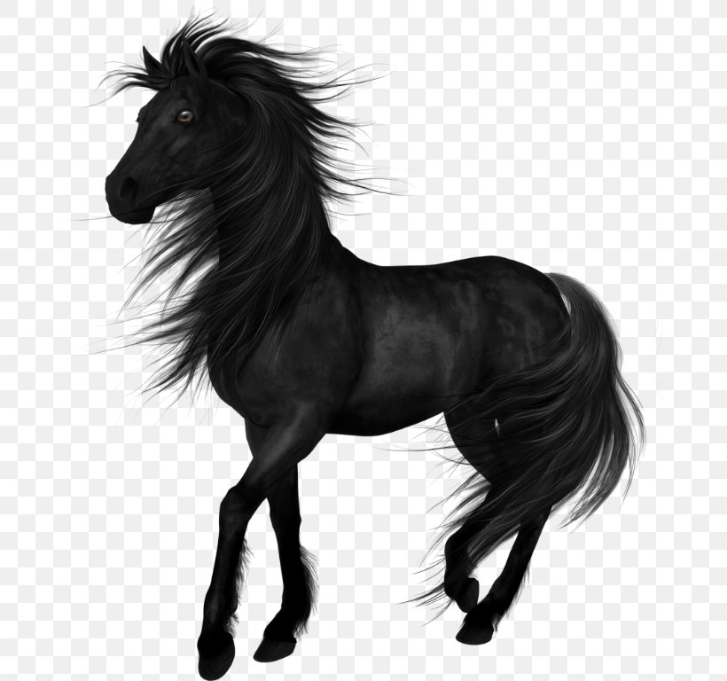 Stallion Arabian Horse Akhal-Teke Friesian Horse Mare, PNG, 689x768px, Stallion, Akhalteke, Arabian Horse, Black, Black And White Download Free