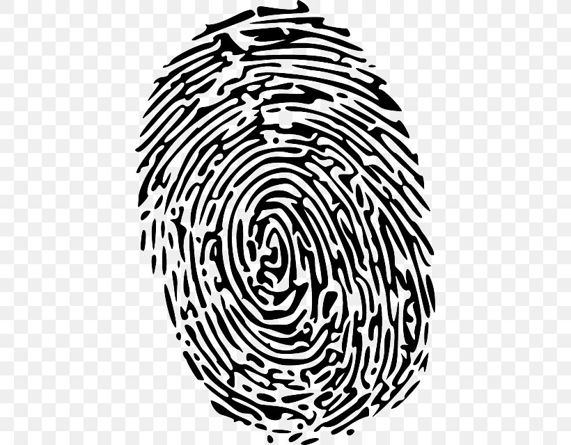 Clip Art Fingerprint Openclipart Forensic Science Image, PNG, 431x640px, Fingerprint, Area, Black And White, Diagram, Dna Profiling Download Free