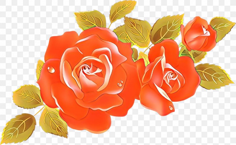 Drawing Of Family, PNG, 1024x633px, Rose, Artificial Flower, Begonia, Cut Flowers, Drawing Download Free