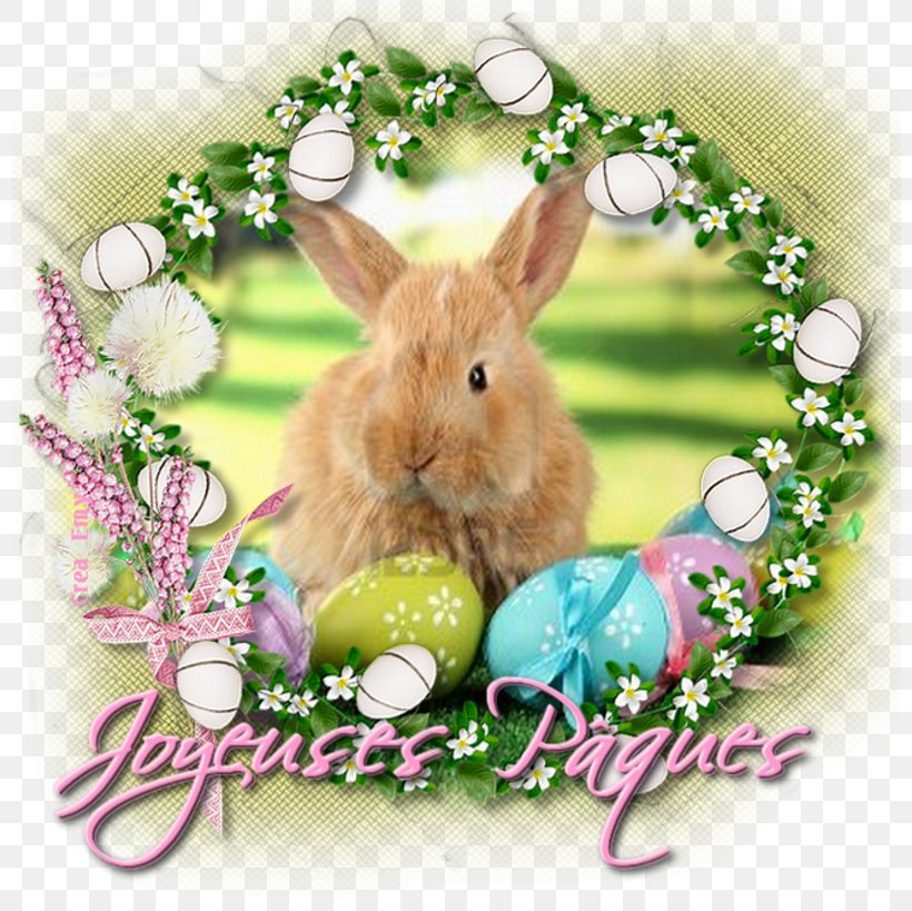 Easter Bunny Domestic Rabbit Party Passover, PNG, 800x819px, Watercolor, Cartoon, Flower, Frame, Heart Download Free