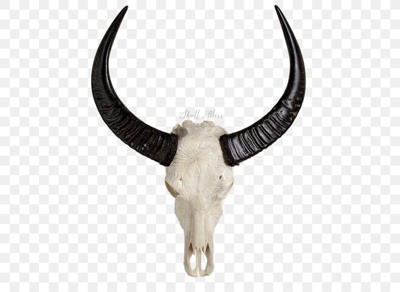 Animal Skulls Cattle Horn, PNG, 600x600px, Animal Skulls, Animal, Cattle, Cattle Like Mammal, Com Download Free