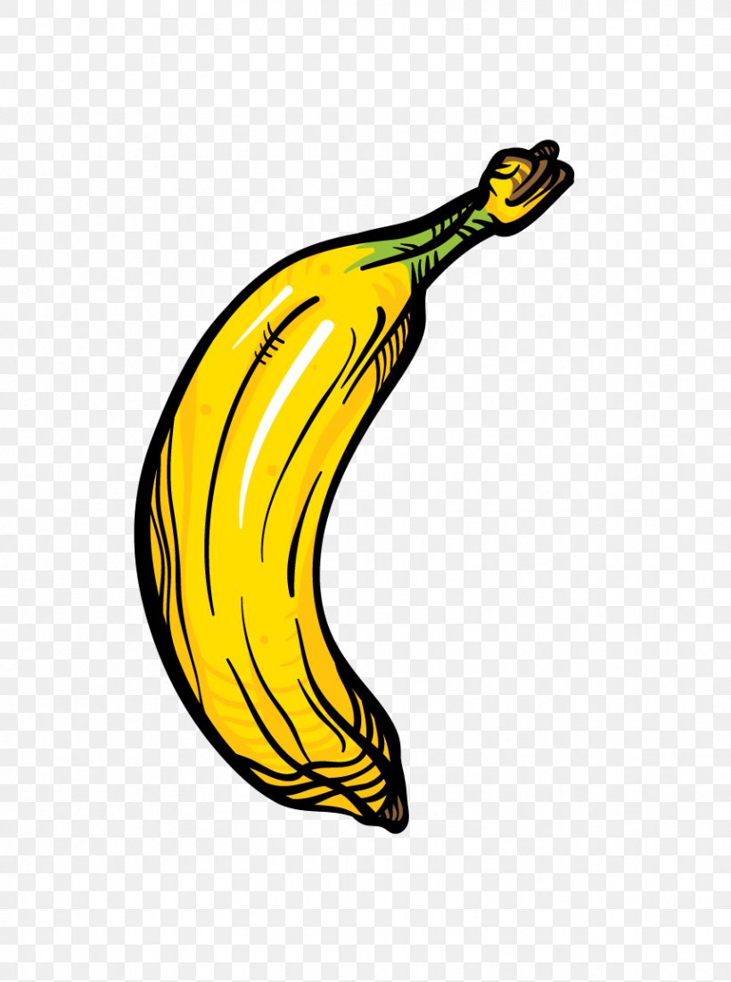Banana Fruit Icon, PNG, 858x1154px, Banana, Auglis, Drawing, Food, Fruit Download Free
