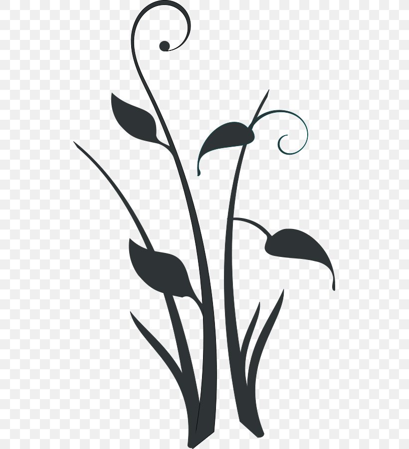 Decorative Borders Borders And Frames Plant Clip Art, PNG, 525x900px, Decorative Borders, Artwork, Beak, Black And White, Borders And Frames Download Free