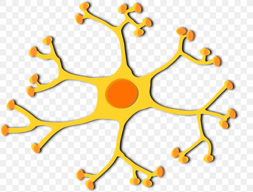 Motor Neuron Cell Clip Art, PNG, 1280x974px, Neuron, Area, Biology, Body Jewelry, Brain Download Free