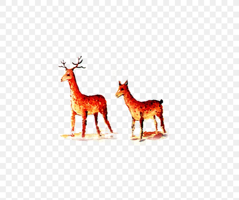 Reindeer Giraffe Antler Text Illustration, PNG, 762x687px, Reindeer, Antler, Deer, Giraffe, Giraffidae Download Free
