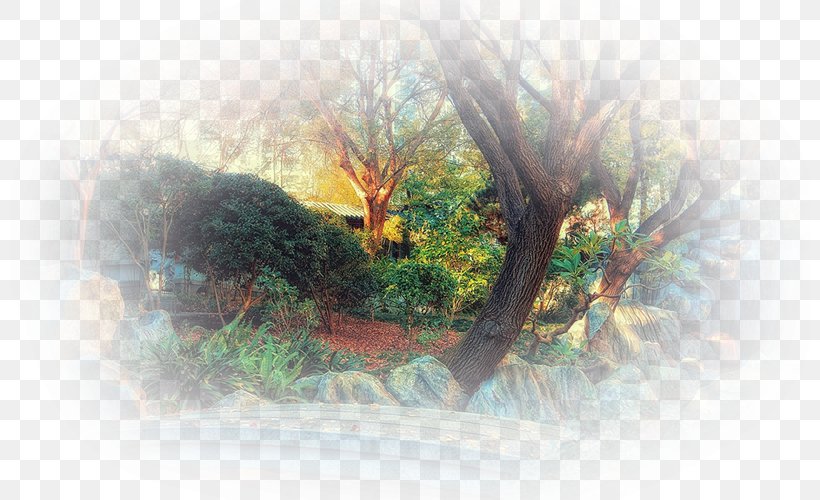 Watercolor Painting Desktop Wallpaper Sunlight, PNG, 800x500px, Painting, Branch, Computer, Grass, Landscape Download Free