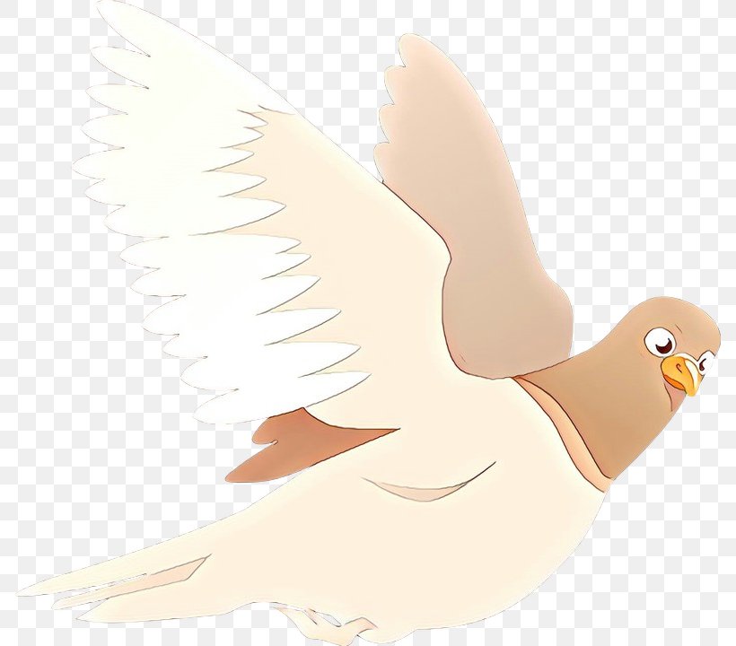 Beak Bird Of Prey Illustration Feather, PNG, 786x720px, Beak, Animation, Bird, Bird Of Prey, Cartoon Download Free