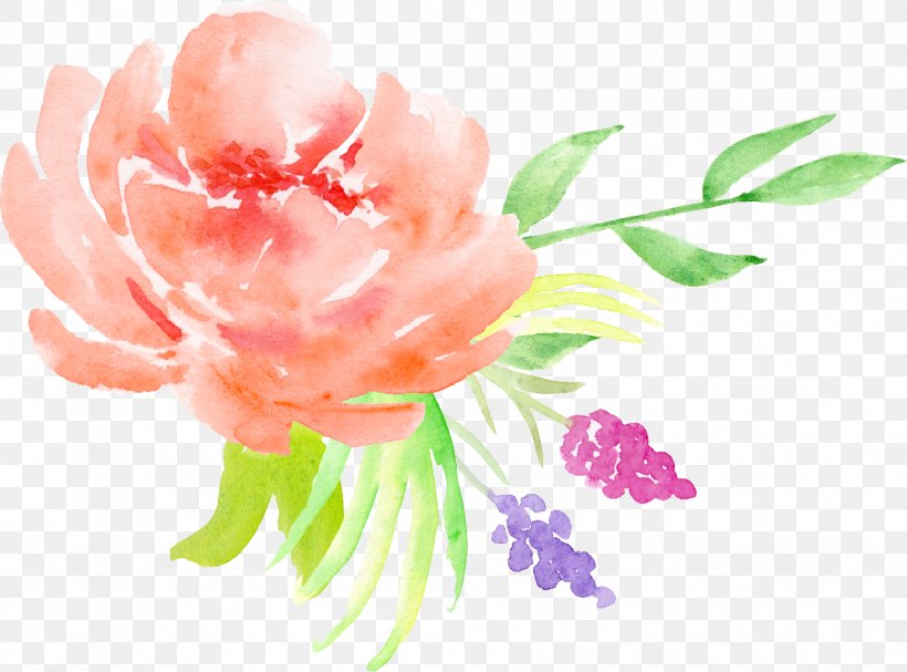 Centifolia Roses Watercolor Painting Flower Floral Design, PNG, 1774x1314px, Watercolor Painting, Color, Designer, Drawing, Floral Design Download Free