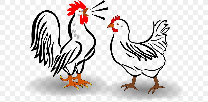 Cochin Chicken Leghorn Chicken Silkie Plymouth Rock Chicken Brahma Chicken, PNG, 640x405px, Cochin Chicken, Animal Figure, Art, Artwork, Beak Download Free