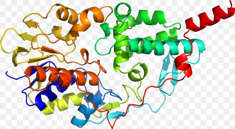 Moscow State University Shkola Khorarnoy Astrologii Marka Rusborna Monoamine Oxidase Scientist Nature, PNG, 908x500px, Moscow State University, Area, Artwork, Monoamine Neurotransmitter, Monoamine Oxidase Download Free