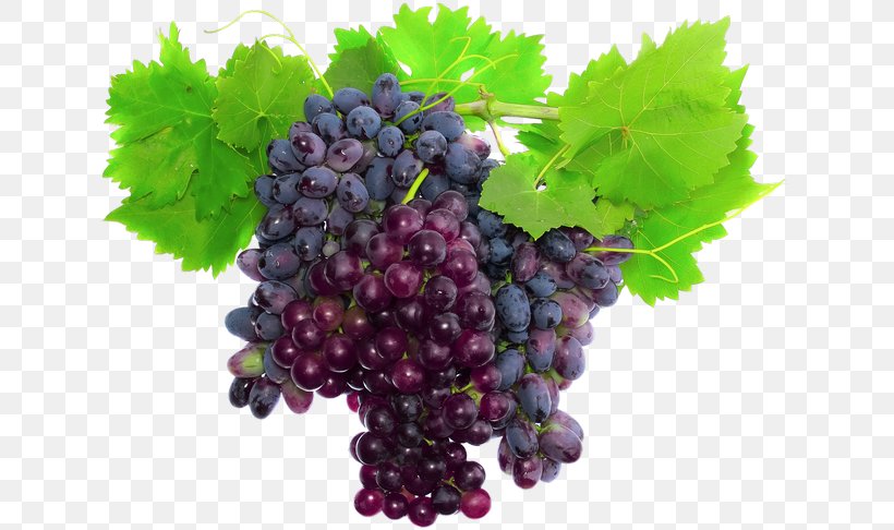 Muscat Grape Wine Stock Photography Merlot, PNG, 635x486px, Muscat, Alamy, Berry, Blackberry, Boysenberry Download Free