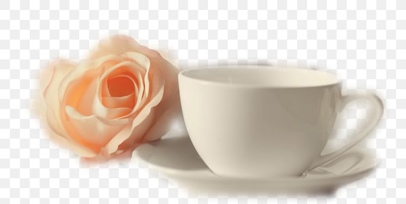 Tea Coffee Cup Garden Roses Saucer, PNG, 763x412px, 2016, Tea, Author, Coffee, Coffee Cup Download Free