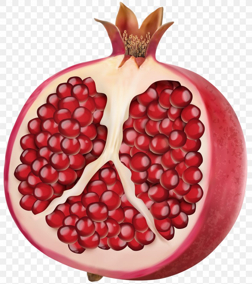 Vector Graphics Clip Art Illustration Pomegranate Stock Photography, PNG, 4442x5000px, Pomegranate, Accessory Fruit, Berry, Food, Fruit Download Free