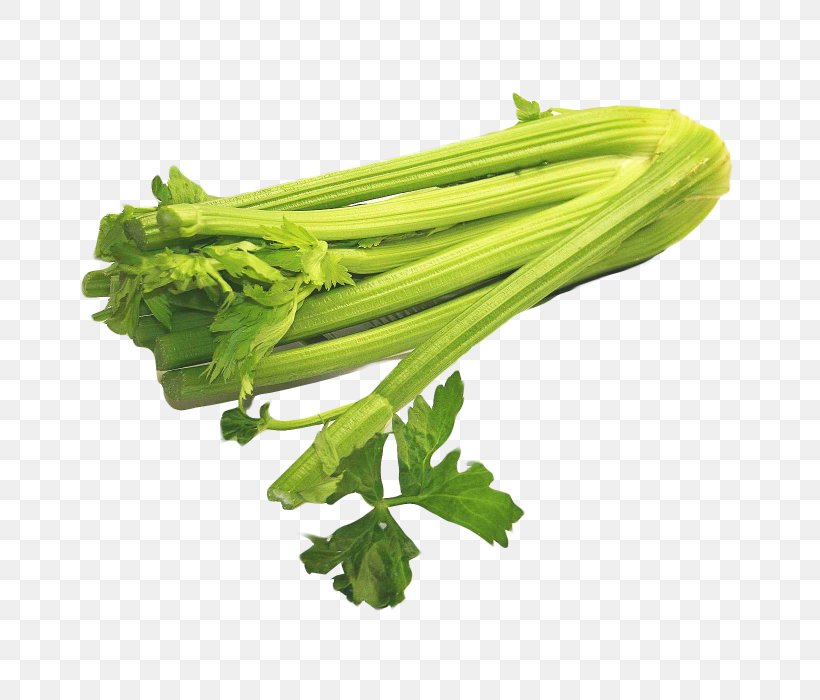 Celery Ossobuco Vegetable Food, PNG, 700x700px, Celery, Apiaceae, Apium, Broccoli, Carrot Download Free