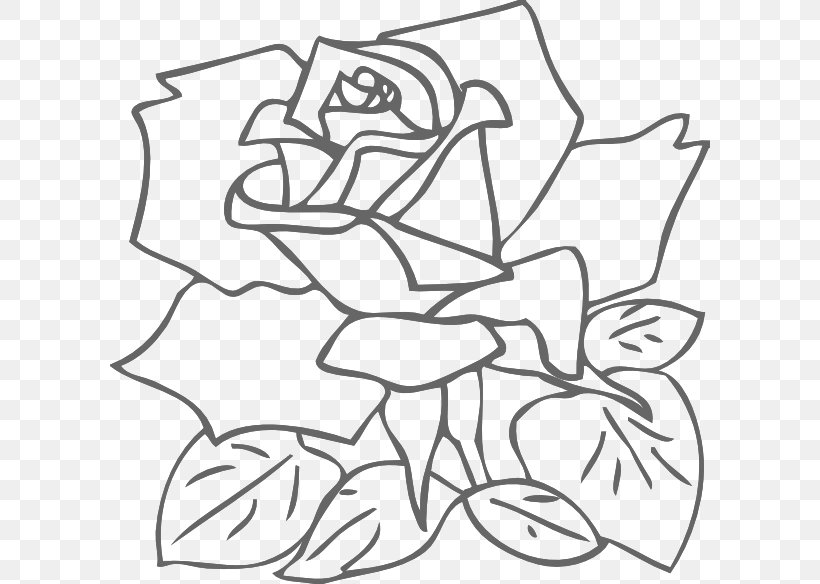 Rose Drawing Pink Clip Art, PNG, 600x584px, Rose, Area, Art, Artwork, Black Download Free