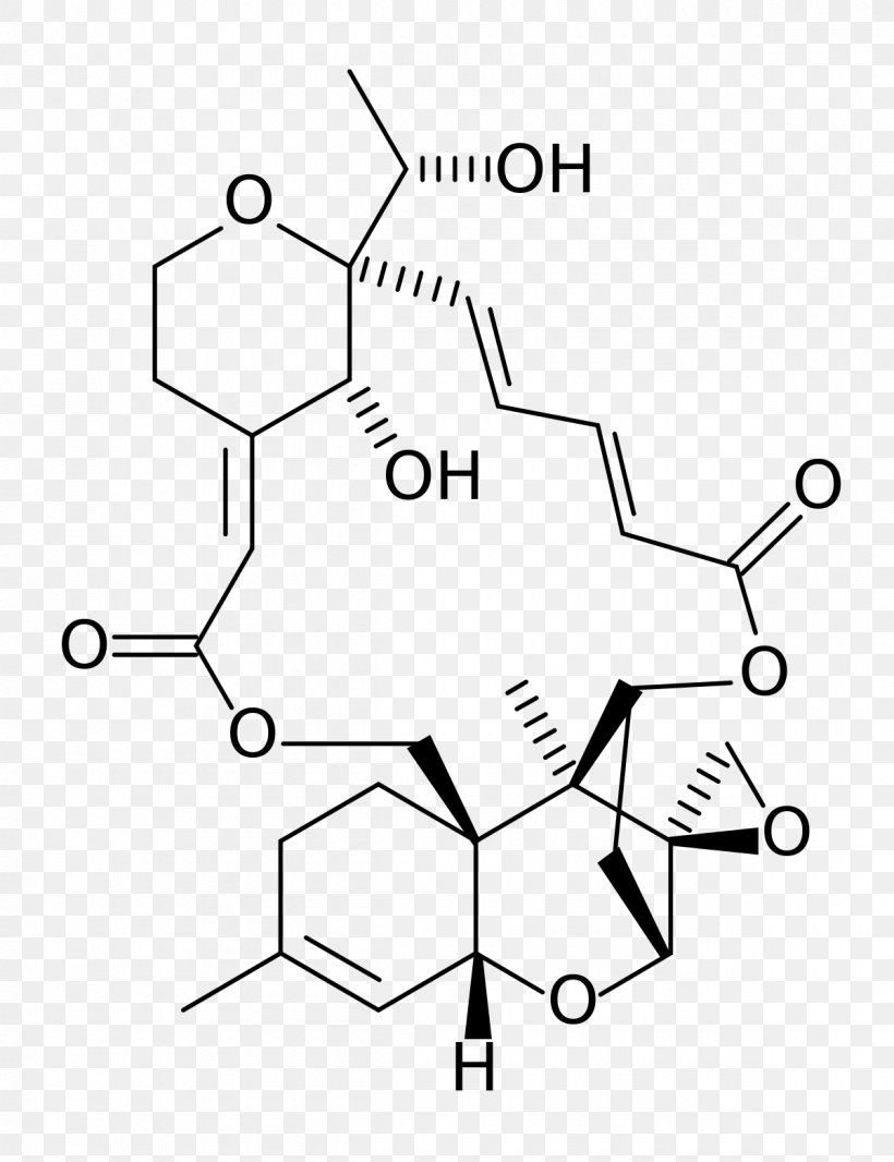 Satratoxin-H Stachybotrys Chartarum Trichothecene Mold Podostroma Cornu-damae, PNG, 1200x1560px, Trichothecene, Area, Auto Part, Black And White, Chemical Compound Download Free