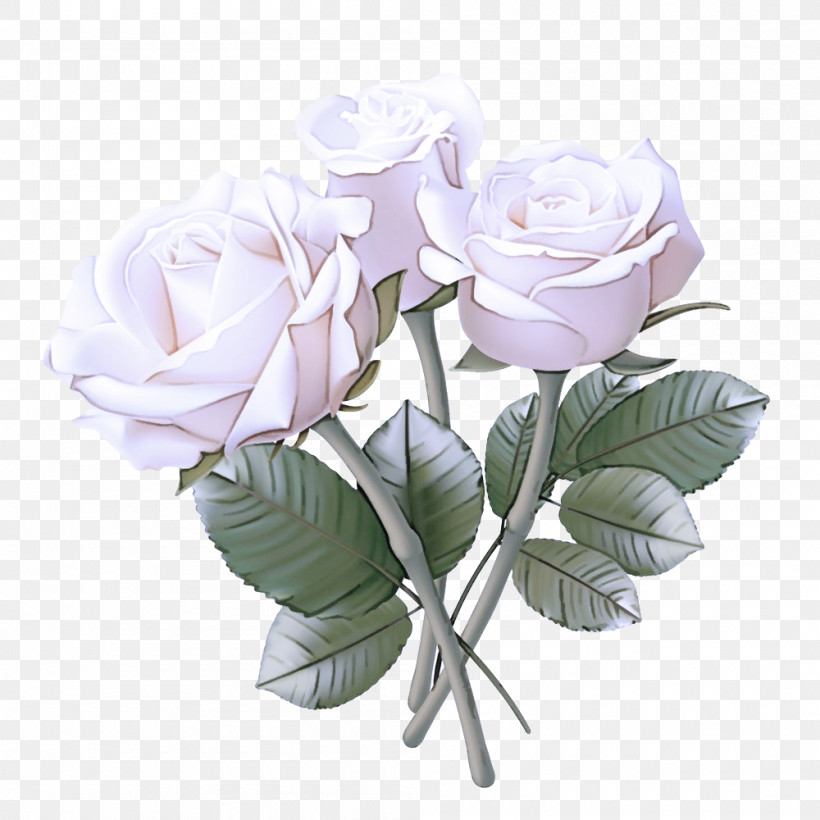 Garden Roses, PNG, 1000x1000px, Flower, Chinese Peony, Common Peony, Cut Flowers, Floribunda Download Free