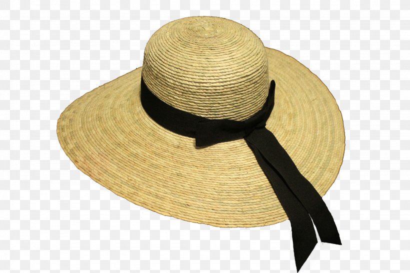 Picture Hat Headgear Panama Hat Cap, PNG, 2256x1504px, Hat, Bonnet, Cap, Cloche Hat, Clothing Download Free