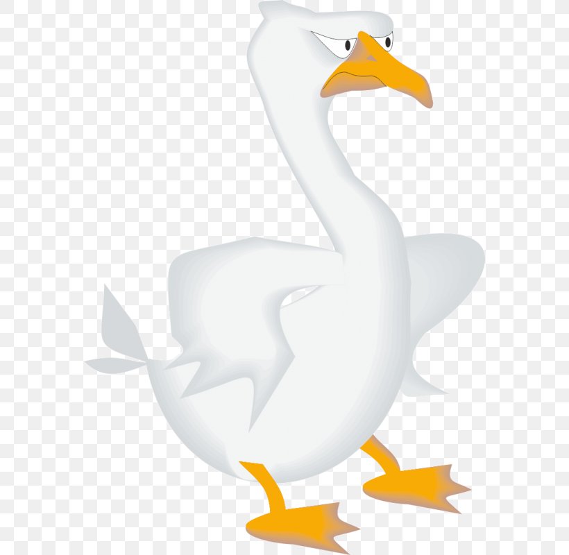 Duck Domestic Goose Bird Clip Art, PNG, 800x800px, Duck, Animal, Animal Figure, Beak, Bird Download Free