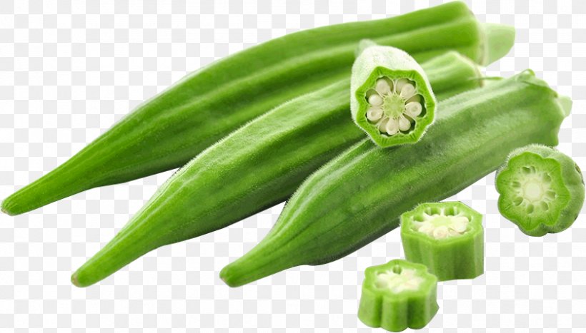 Ladyfinger Okra Vegetable Samosa Fruit, PNG, 836x477px, Ladyfinger, Armenian Cucumber, Bell Pepper, Chili Pepper, Cucumber Download Free