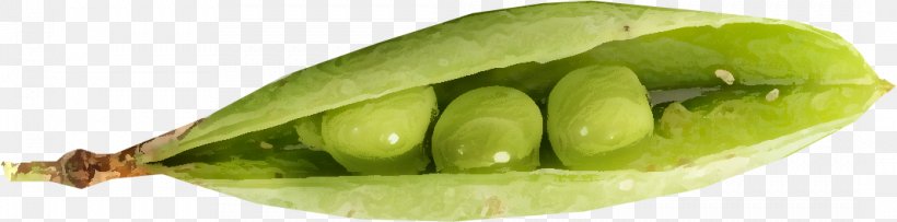 Pea Lima Bean Legume Natural Foods, PNG, 1066x265px, Pea, Bean, Commodity, Diet, Diet Food Download Free