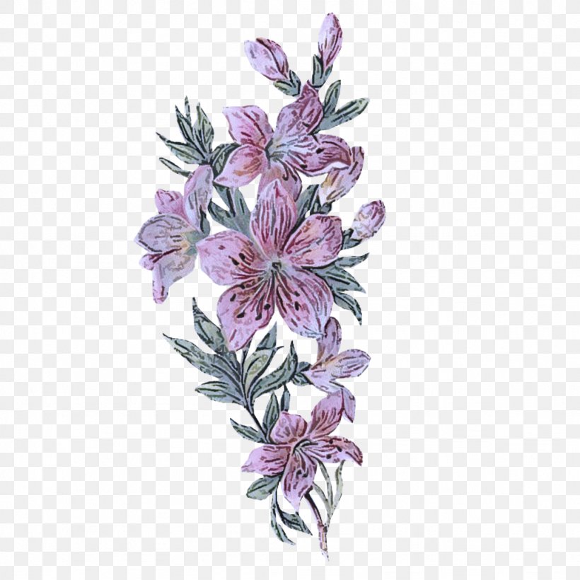 Flower Plant Flowering Plant Lilac Petal, PNG, 1024x1024px, Flower, Clary, Flowering Plant, Lilac, Perennial Plant Download Free