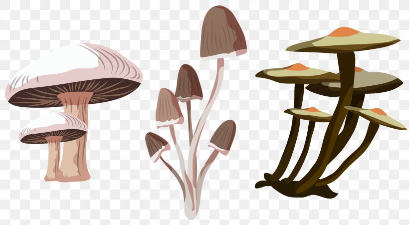 Fungus Euclidean Vector Mushroom Icon, PNG, 2014x1110px, Fungus, Chair, Flat Design, Furniture, Mushroom Download Free