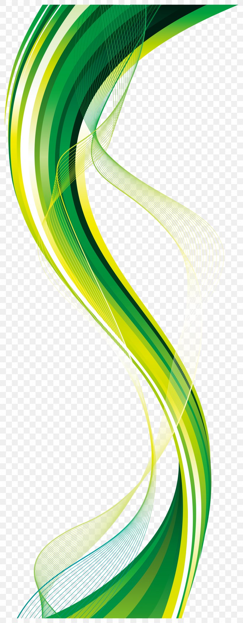 Green Euclidean Vector Clip Art, PNG, 1560x3992px, Watercolor, Cartoon, Flower, Frame, Heart Download Free