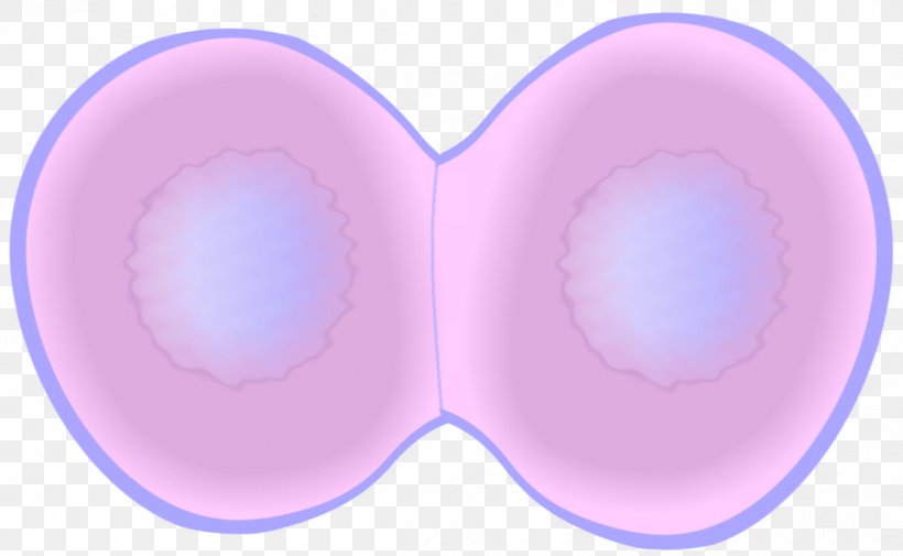 Telophase Mitosis Cell Cycle Cell Division, PNG, 1159x714px, Telophase, Anaphase, Biology, Cell, Cell Cycle Download Free