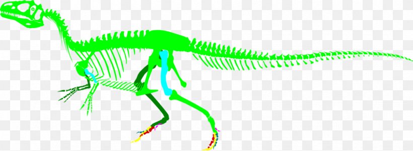 Allosaurus Saurophaganax Big Al Dinosaur Velociraptor, PNG, 1024x376px, Allosaurus, Allosauridae, Allosauroidea, Art, Big Al Download Free