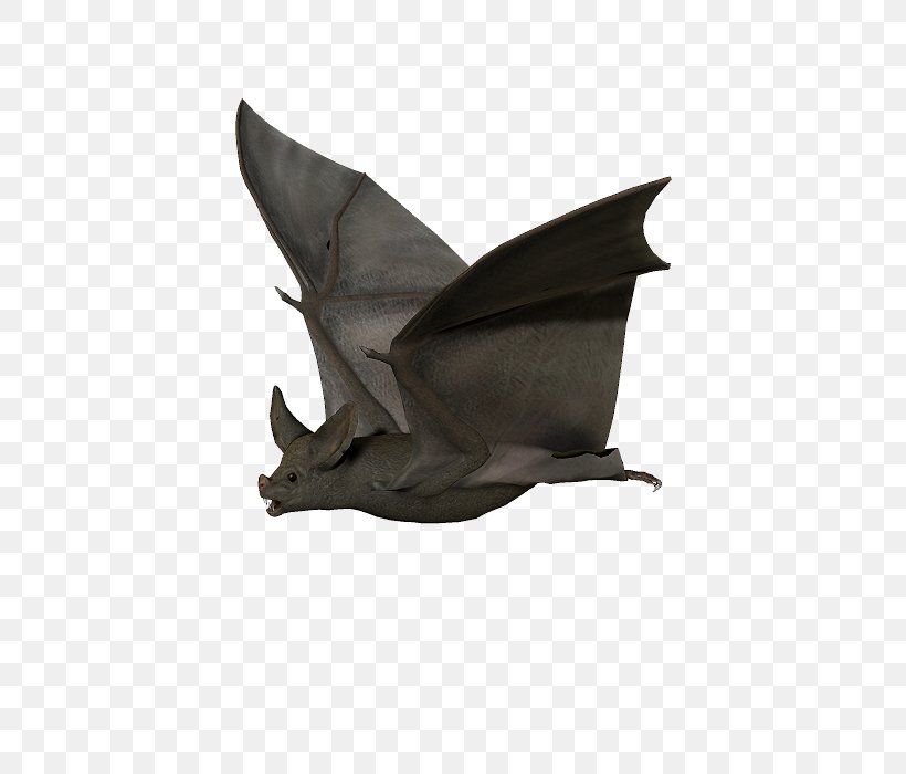 Bat Drawing, PNG, 800x700px, Bat, Animation, Cartoon, Coreldraw, Drawing Download Free