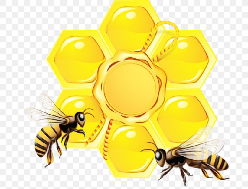 Bee Honeybee Insect Pollinator Pest, PNG, 700x627px, Watercolor, Bee, Beehive, Honeybee, Hornet Download Free