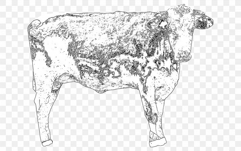 Bovine Bull Cow-goat Family Line Art Dairy Cow, PNG, 2821x1769px, Bovine, Bull, Calf, Cowgoat Family, Dairy Cow Download Free