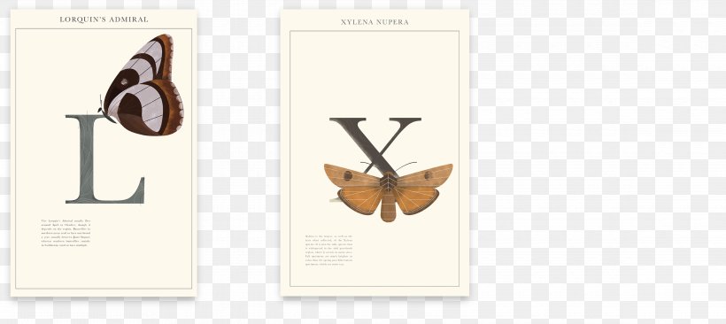 Graphic Designer Poster Paper, PNG, 4660x2083px, Poster, Biological Illustration, Brand, Butterfly, Fauna Download Free