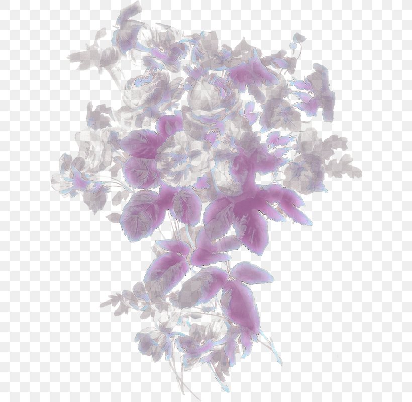 Lavender, PNG, 623x800px, Cartoon, Flower, Lavender, Lilac, Petal Download Free