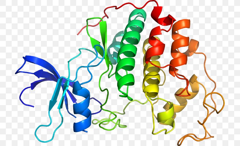 Cyclin-dependent Kinase 2 Protein Kinase, PNG, 717x500px, Cyclindependent Kinase 2, Animal Figure, Artwork, Beta Adrenergic Receptor Kinase, Casein Kinase 2 Download Free