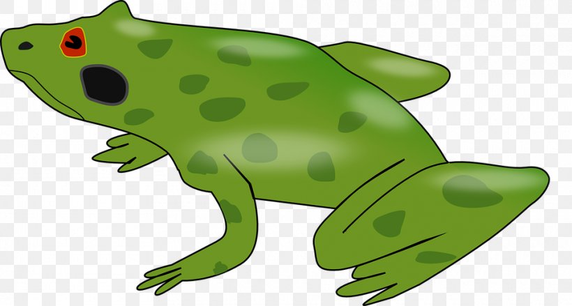 Frog Desktop Wallpaper Clip Art, PNG, 960x515px, Frog, American Green Tree Frog, Amphibian, Animal, Animal Figure Download Free