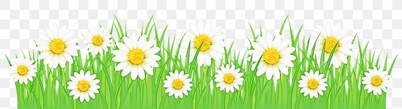 Green Grass Background, PNG, 3000x819px, Wildflower, Camomile, Chamaemelum Nobile, Chamomile, Commodity Download Free