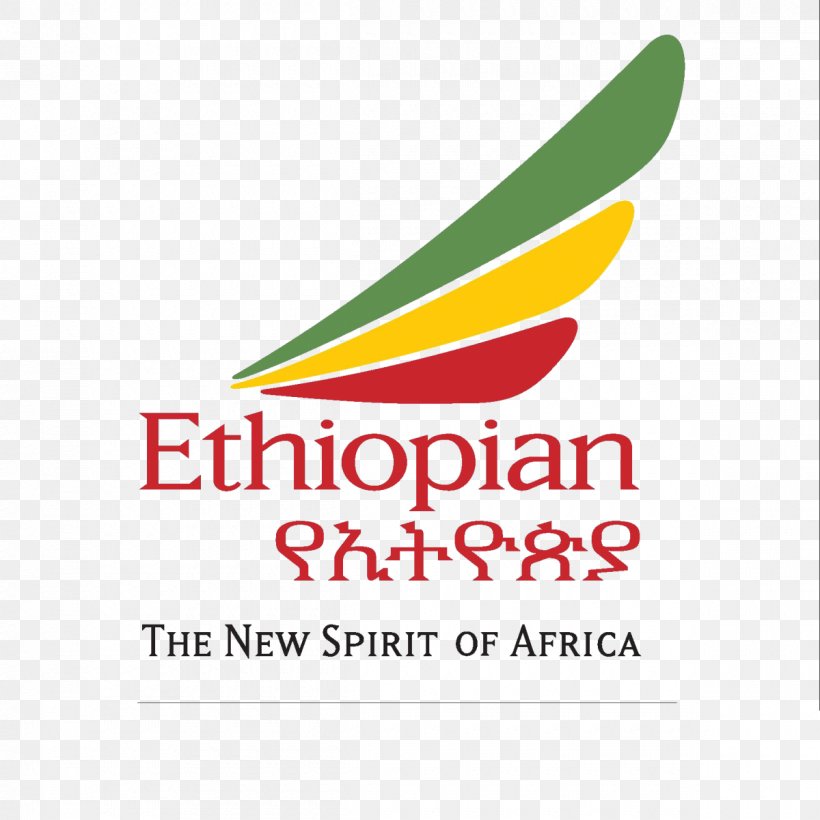 Addis Ababa Bole International Airport Ethiopian Airlines Direct Flight, PNG, 1200x1200px, Ethiopian Airlines, Addis Ababa, Airline, Airline Ticket, Area Download Free