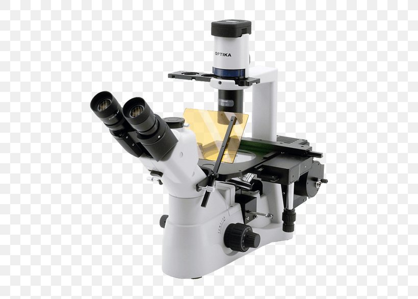 Inverted Microscope Optical Microscope Fluorescence Microscope Optics, PNG, 600x586px, Microscope, Camera Lens, Contrast, Digital Microscope, Fluorescence Download Free