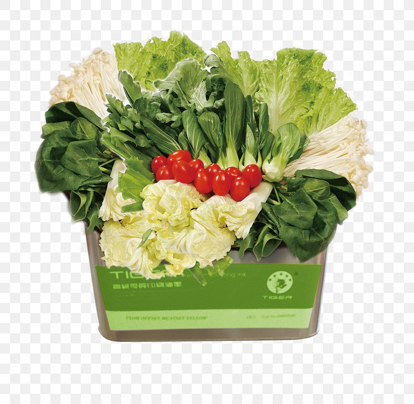 Vegetable Fruit U7dd1u9ec4u8272u91ceu83dc Brassica Oleracea Food, PNG, 800x800px, Vegetable, Artificial Flower, Auglis, Brassica Oleracea, Chinese Cabbage Download Free